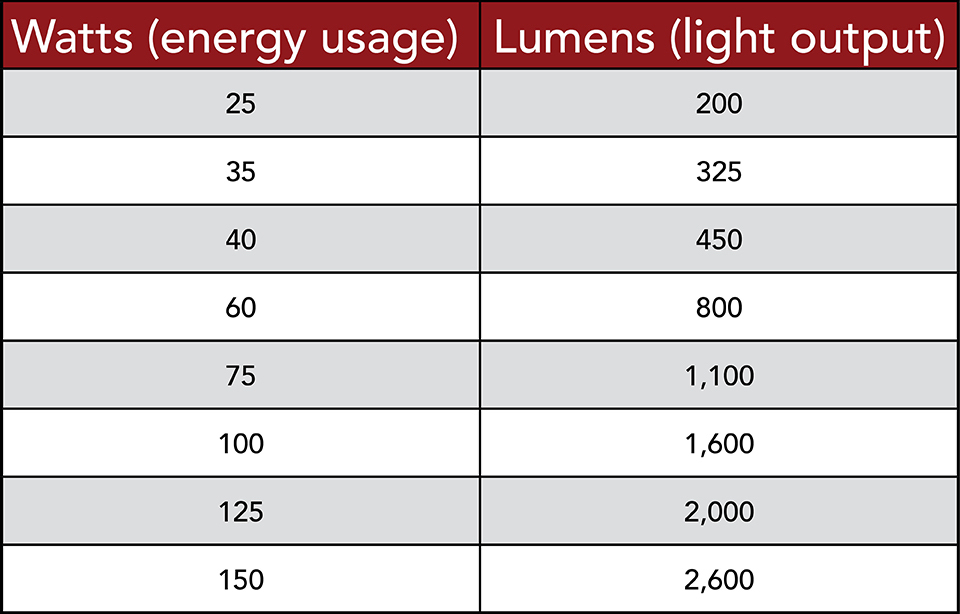 Which Light Bulbs Are Right For You? DPM Real Estate Blog