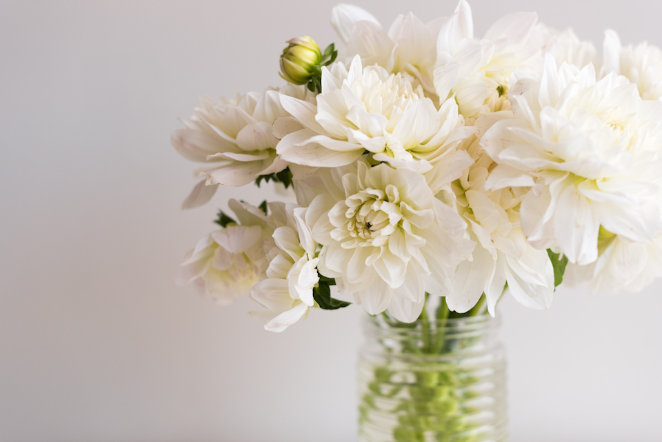 How to Make Your Bouquet Last Longer DPM Real Estate Blog