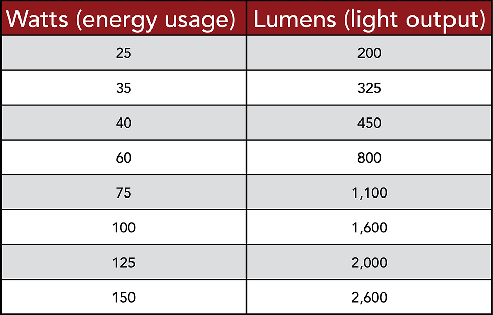Which Light Bulbs Are Right For You?
