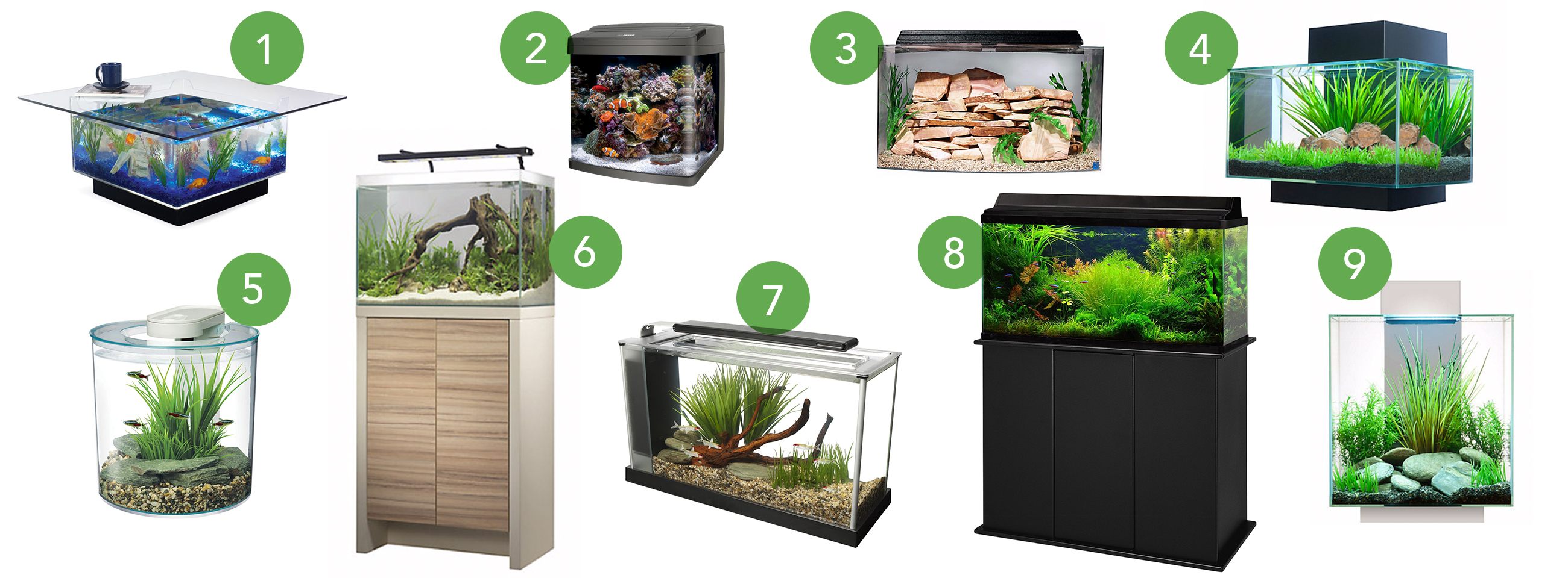 The Many Benefits of Home Aquariums