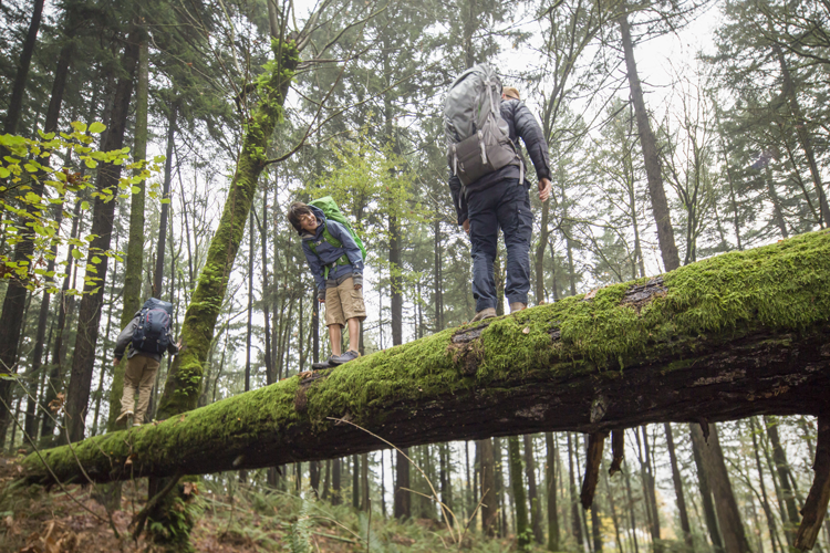 How to Choose the Perfect Portland Neighborhood For You The Local