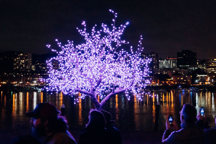 Portland Winter Light Festival Portland, OR