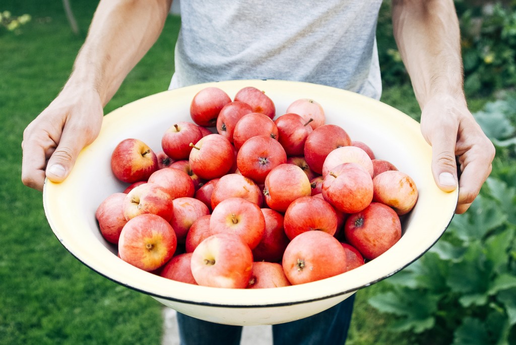 Stocksnap Apples