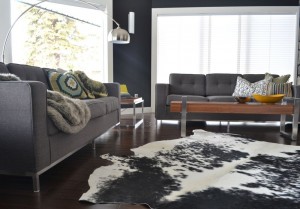 Paint Colors
