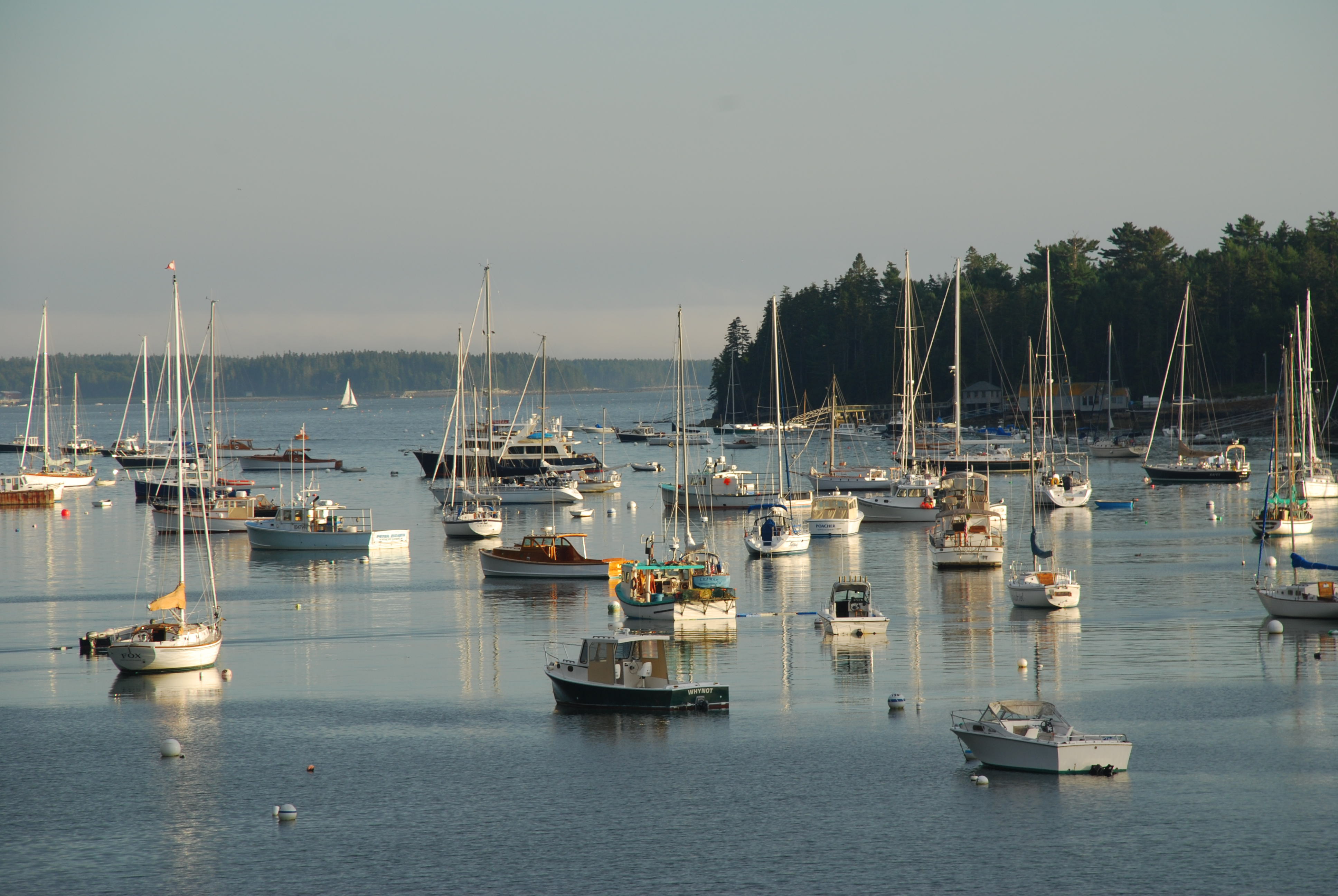 Terry Sortwell in Our Camden, Maine Real Estate Office Offers His