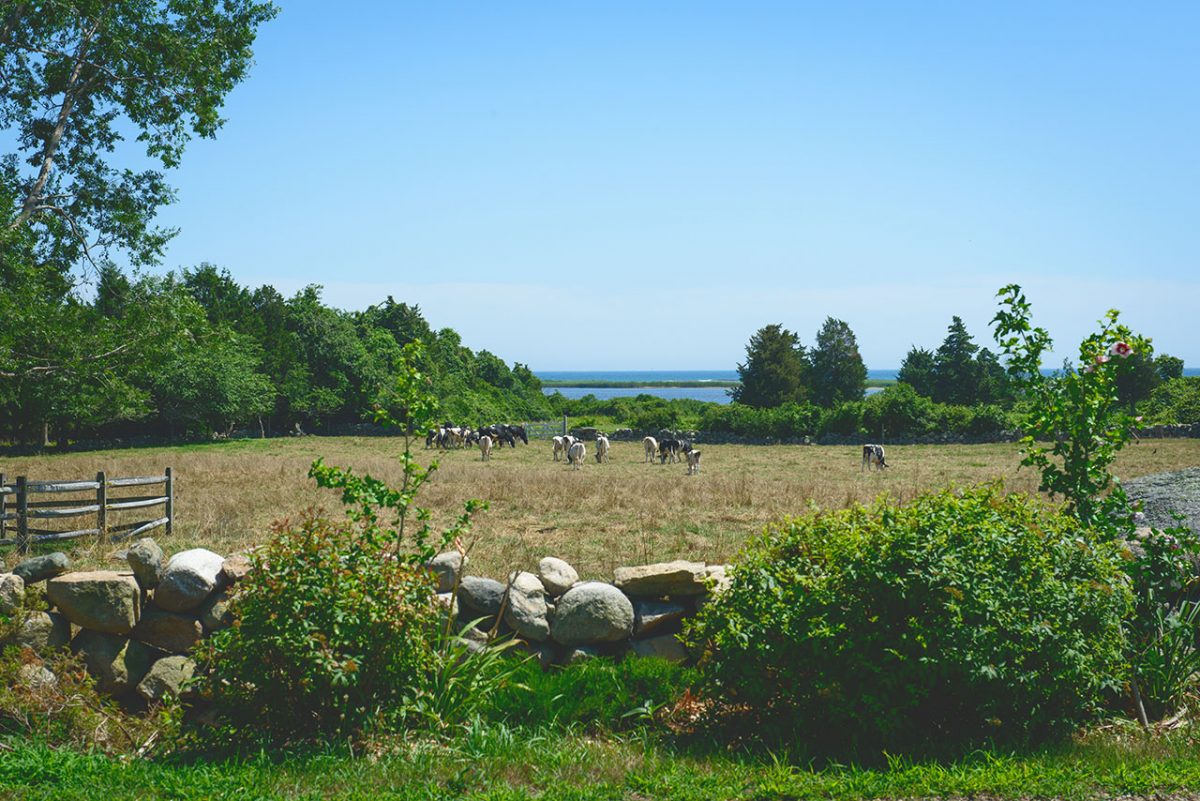 Padanaram Renaissance The Resurgence of a Massachusetts Coastal