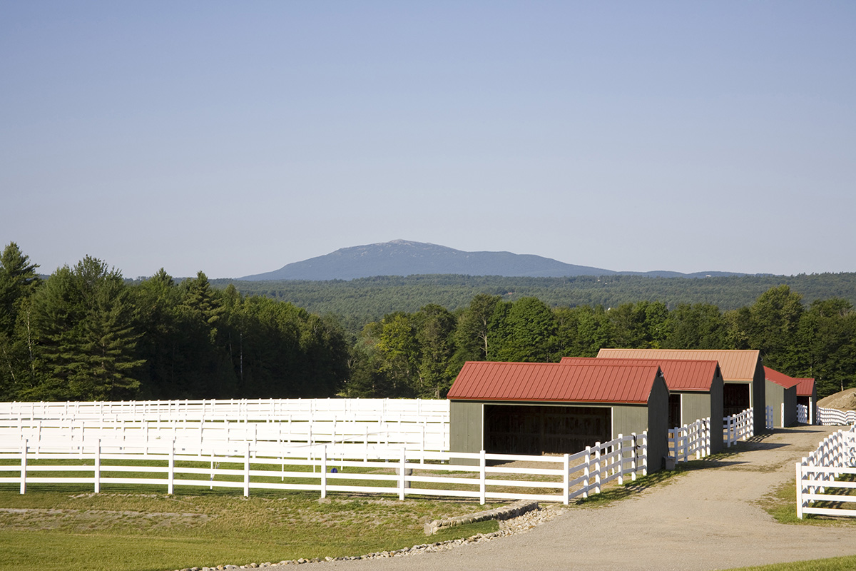 Great New England Equestrian Destinations A Glimpse into New Hampshire