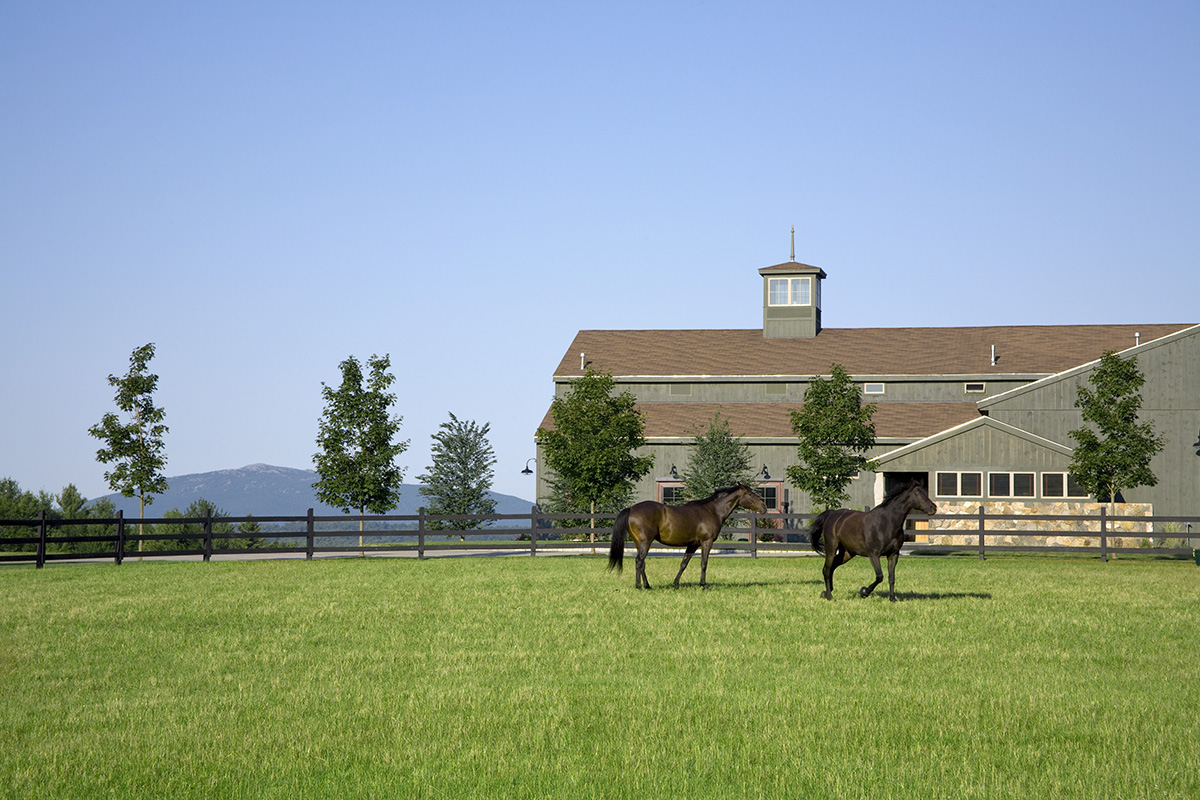 Great New England Equestrian Destinations A Glimpse into New Hampshire