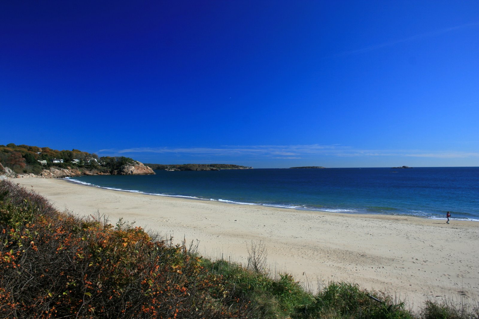 singing beach 3