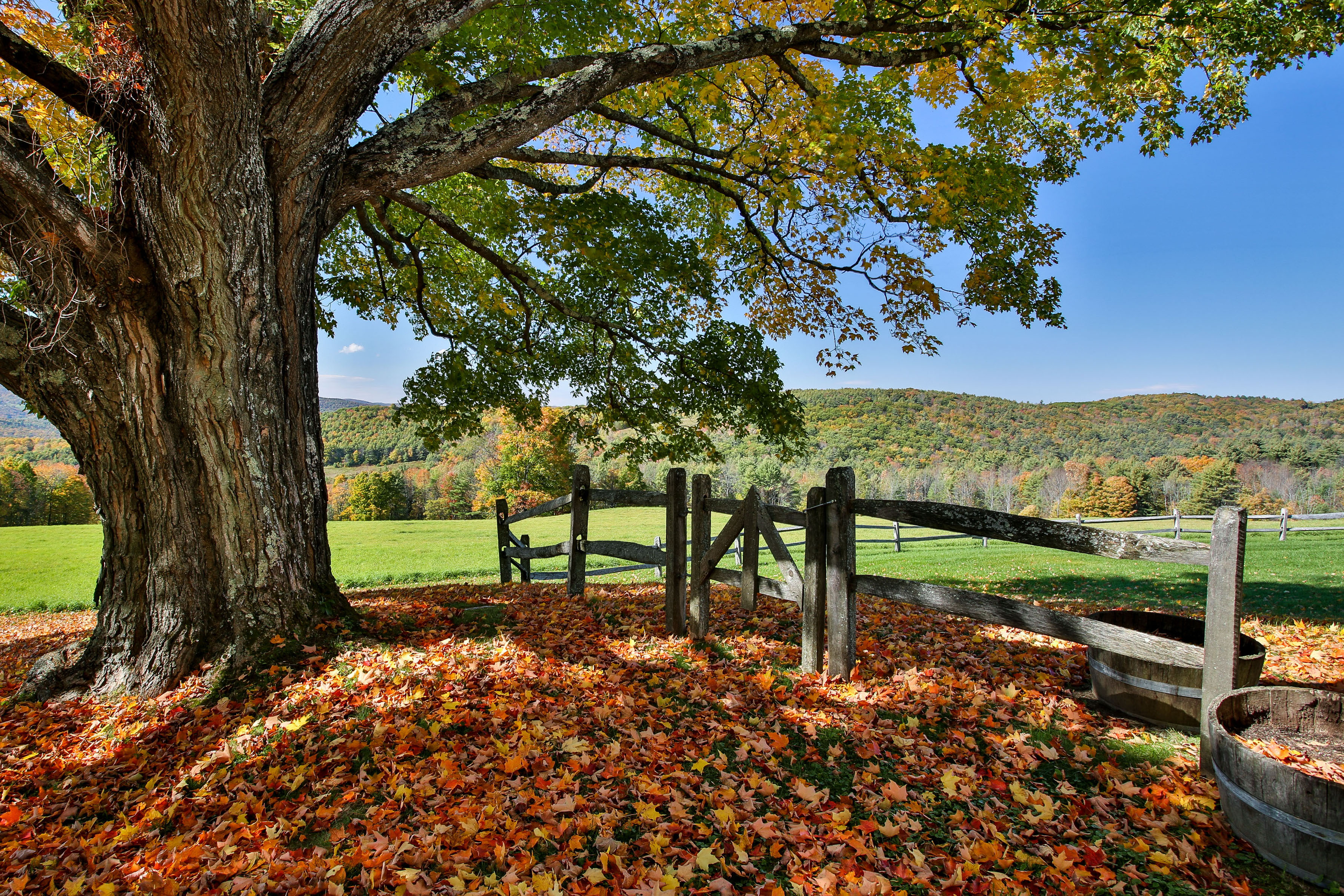 Ask the Seller Jericho Brook Farm, Hartford, Vermont LandVest Blog