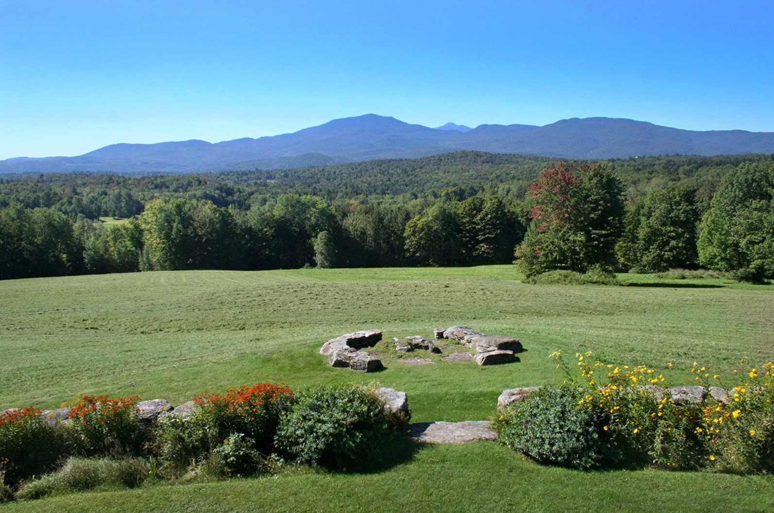 Great Investment Opportunities, Part II