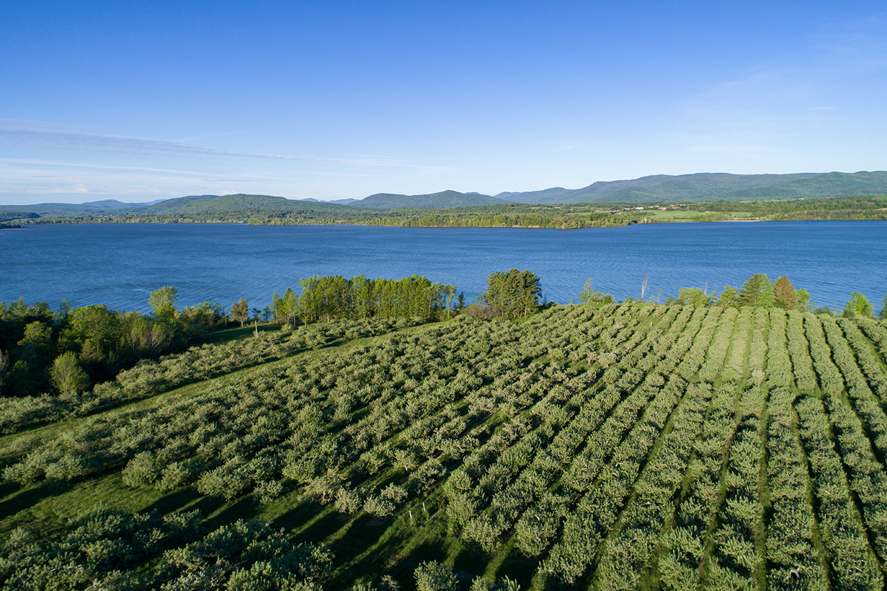 Sentinel Pine Orchards Vermont Real Estate
