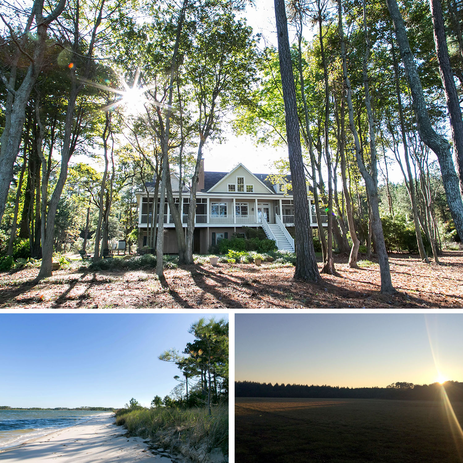 Vineland on the Chesapeake, Eastern Shore, VA VA0107