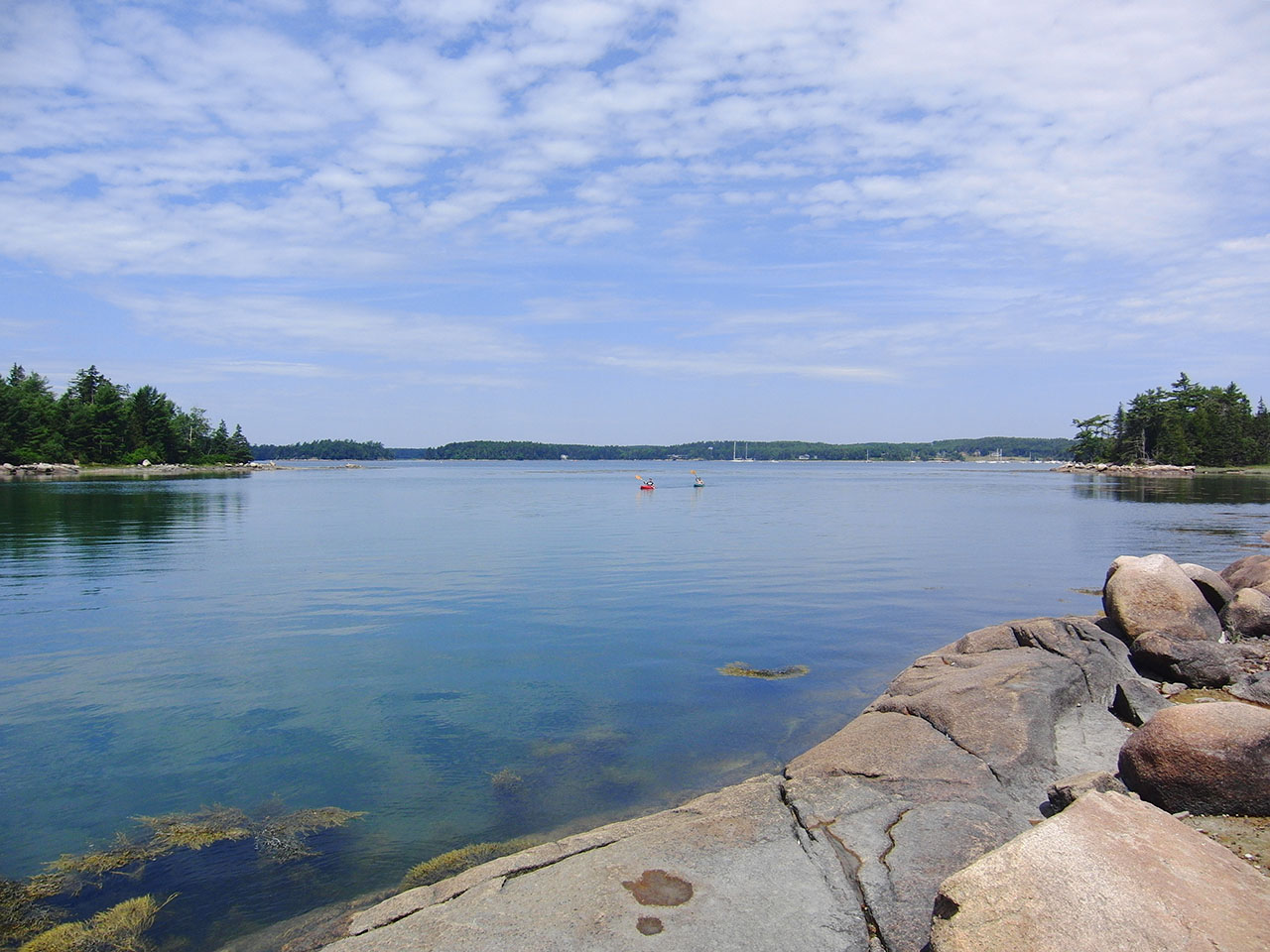 LandVest Maine's Properties Featured on News Center Maine LandVest