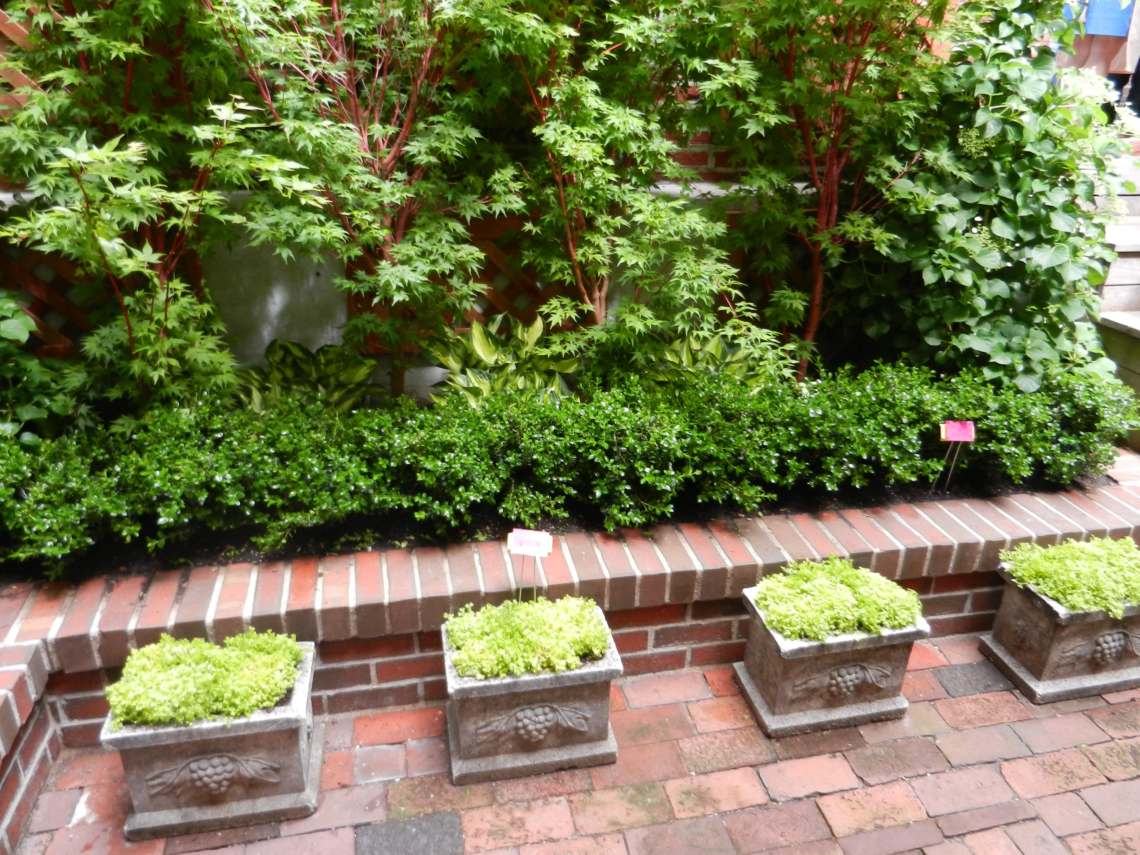 Garden on Mount Vernon St Green roof decks. Beacon Hill Garden Tour_5