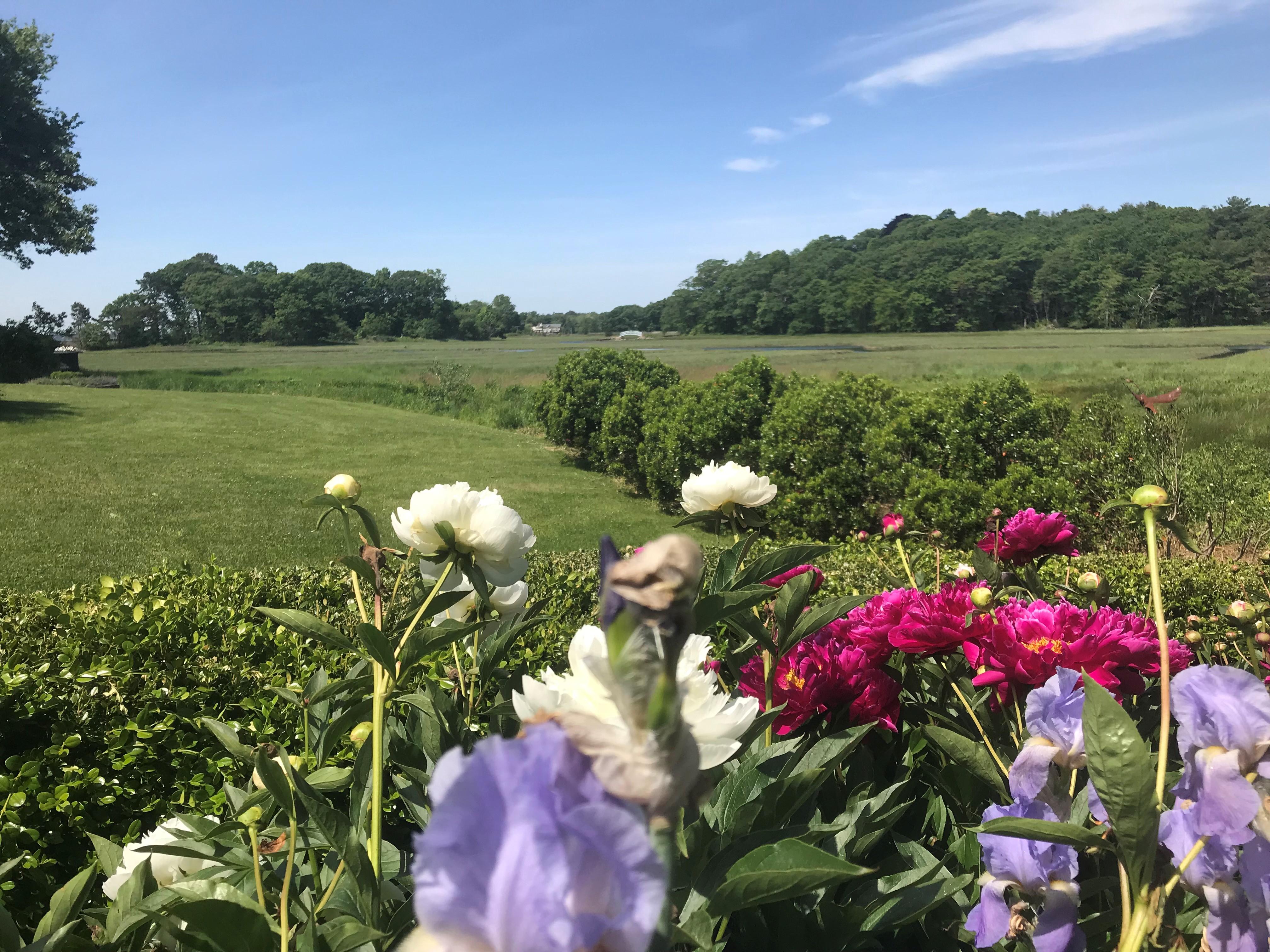 The Classic Big Bloomers of the New England Summer LandVest Blog