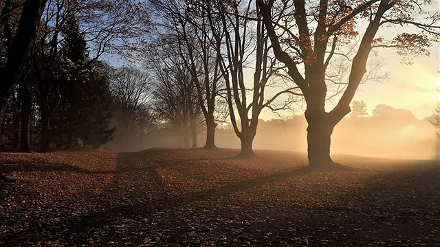 Woodlands sunrise New England sunrises sunsets MA2020_1