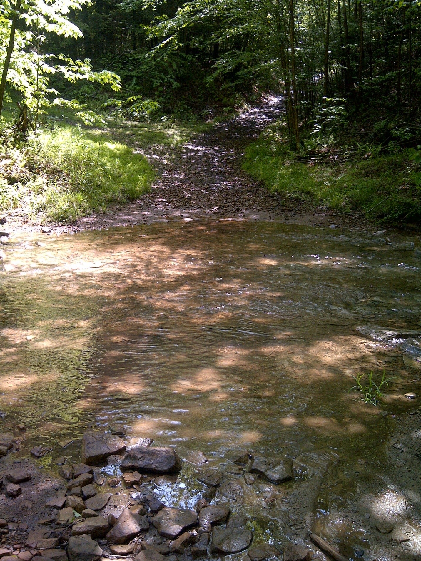 Permanent Stream Crossing Structure Solution LandVest Blog LandVest Blog