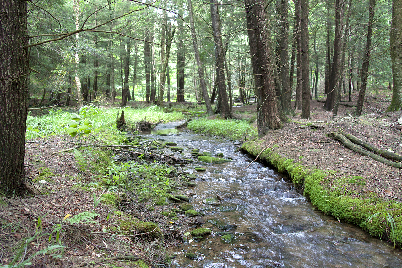 Permanent Stream Crossing Structure Solution LandVest Blog LandVest Blog