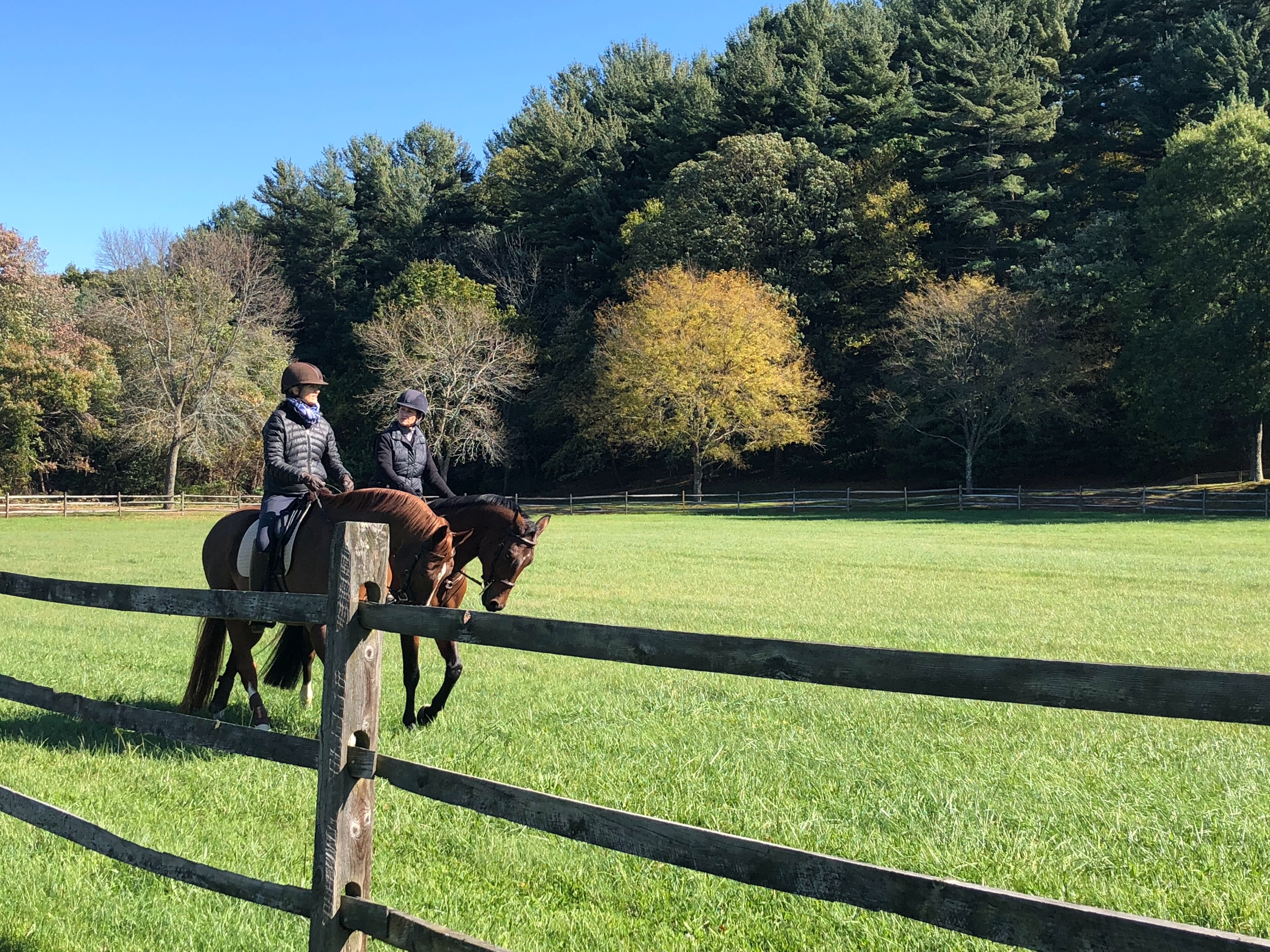 Bring Your Horse Home LandVest Blog LandVest Blog