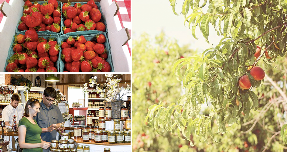 Your Guide to Things To Do in Nebraska City