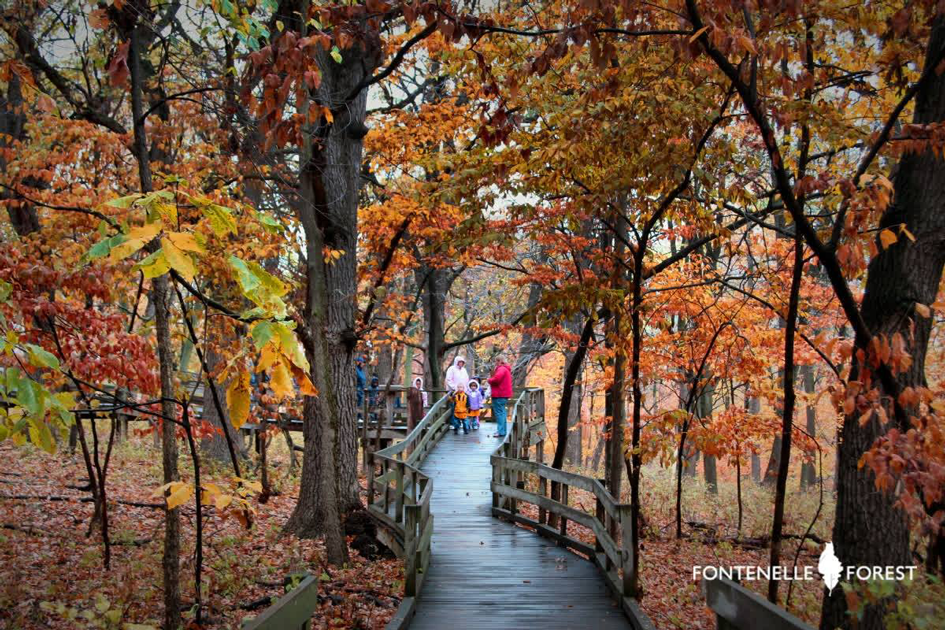 10 Places to See Fall Foliage Near Omaha, Nebraska